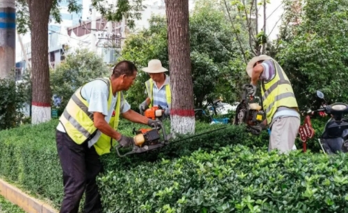 綠化養護是指對園林綠地、樹木、花卉、草坪等植物進行持續的管理和維護